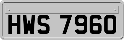 HWS7960