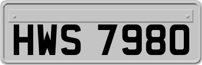 HWS7980