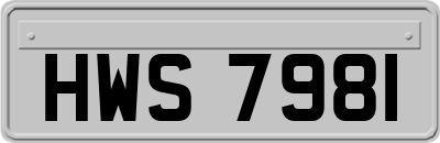 HWS7981