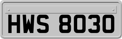 HWS8030