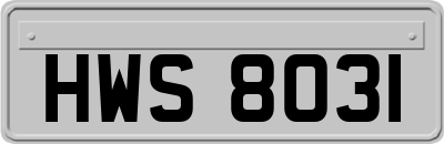 HWS8031