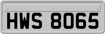 HWS8065