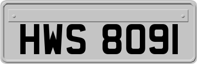 HWS8091