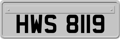 HWS8119
