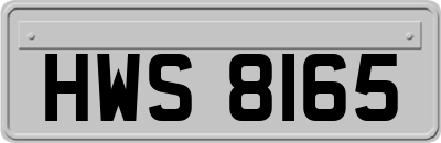 HWS8165