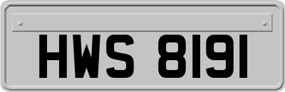 HWS8191