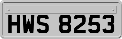 HWS8253