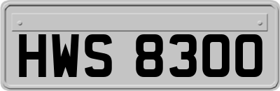 HWS8300