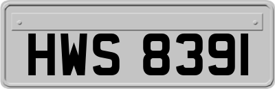 HWS8391