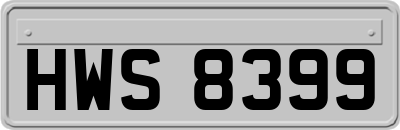 HWS8399