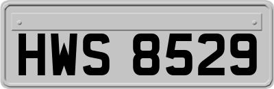 HWS8529