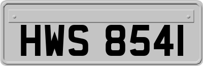 HWS8541