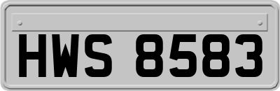HWS8583