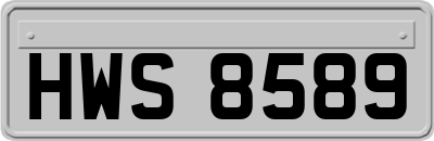 HWS8589