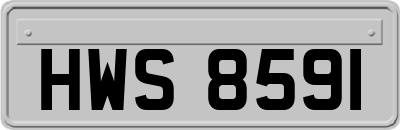 HWS8591