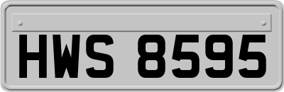 HWS8595