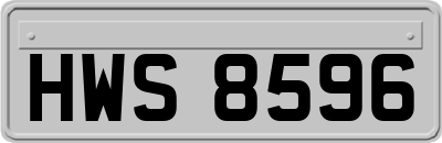 HWS8596