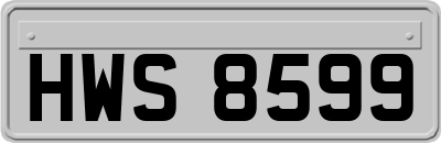 HWS8599