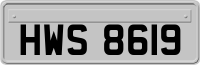 HWS8619