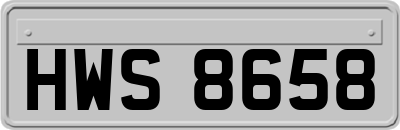 HWS8658