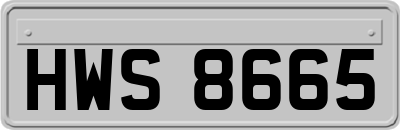 HWS8665