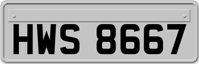 HWS8667