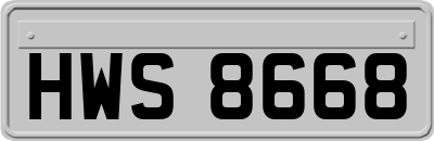 HWS8668