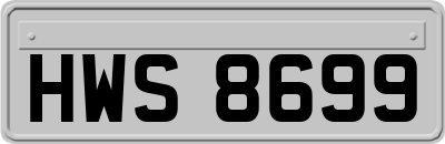 HWS8699