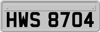HWS8704