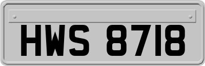 HWS8718