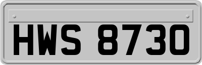 HWS8730