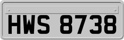 HWS8738