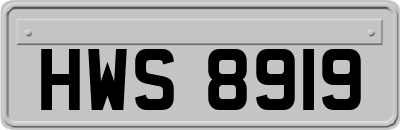 HWS8919