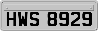HWS8929
