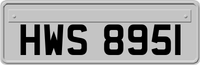 HWS8951
