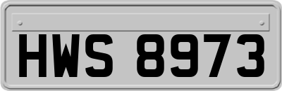 HWS8973