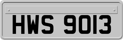 HWS9013