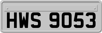 HWS9053