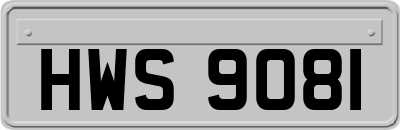 HWS9081
