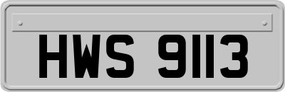 HWS9113