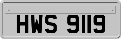 HWS9119