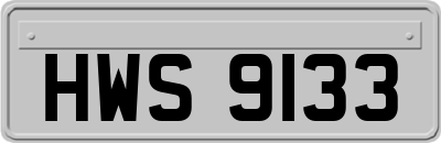 HWS9133
