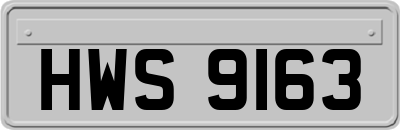 HWS9163