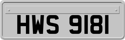 HWS9181