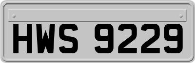 HWS9229