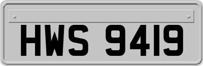 HWS9419