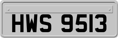 HWS9513