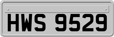 HWS9529