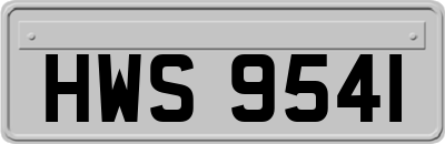 HWS9541