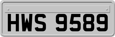 HWS9589